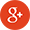 g+ icon